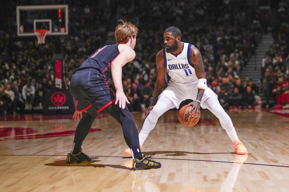 蜂目前存在 蜂目前存在